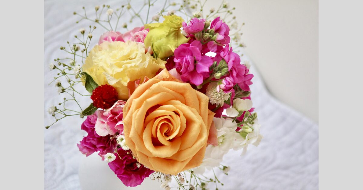 映画恋愛適齢期